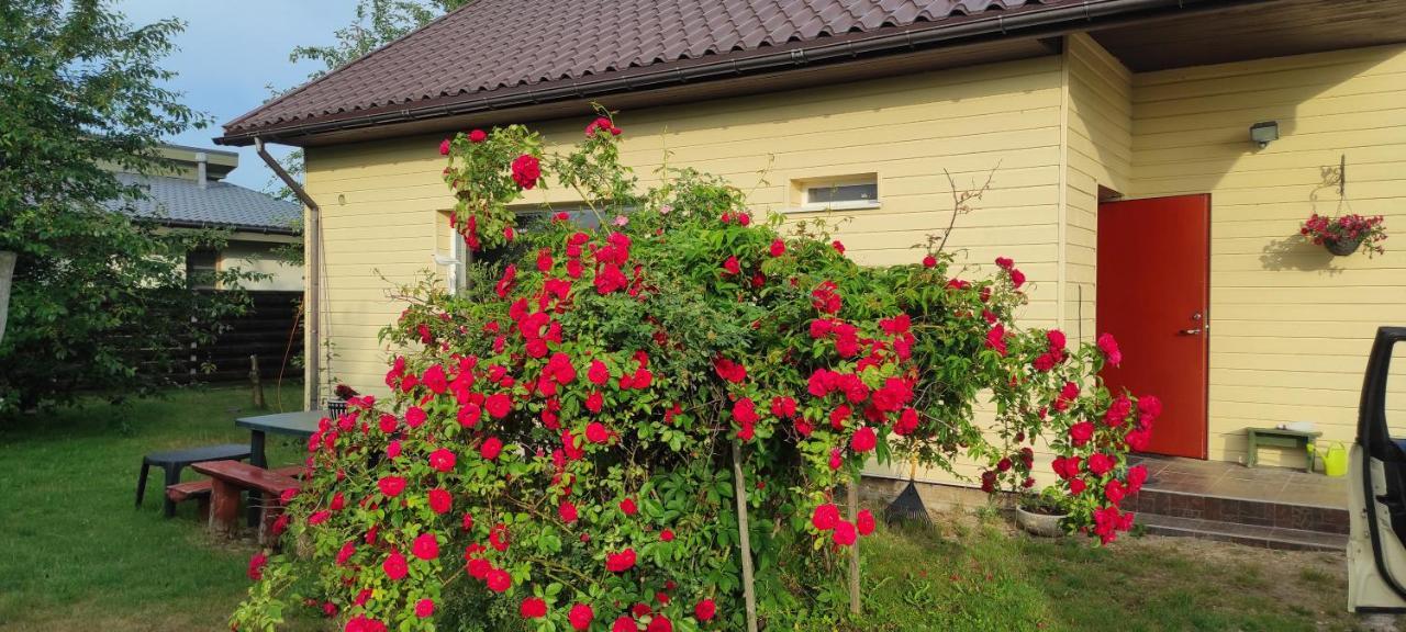 Nr.42 in Palanga, Lithuania