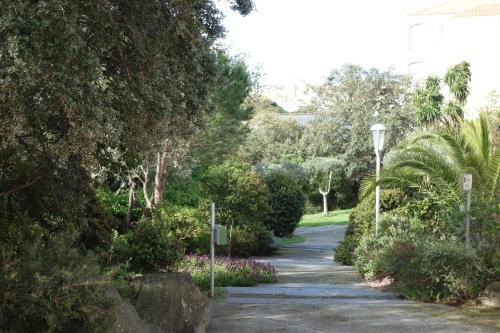 La Baleine Rose in Cap Dagde, France