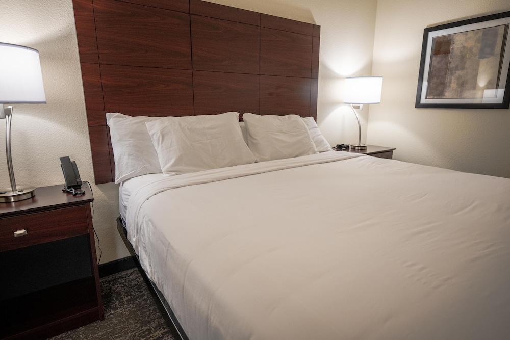 Cobblestone Hotel & Suites Lamar - photo 7
