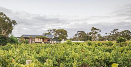 Casale Estate — hotel in Nuriootpa