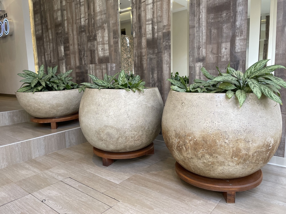 Rado Hotel Santa Maria in Trujillo, Peru