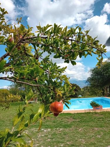Casa Pratolungo — 4-Star Luxury Hotel in Velletri, Italy