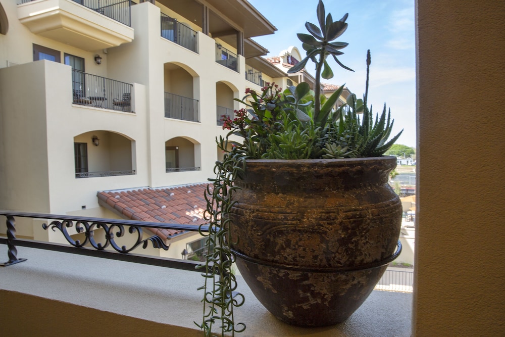 The Murieta Inn & Spa - photo 54