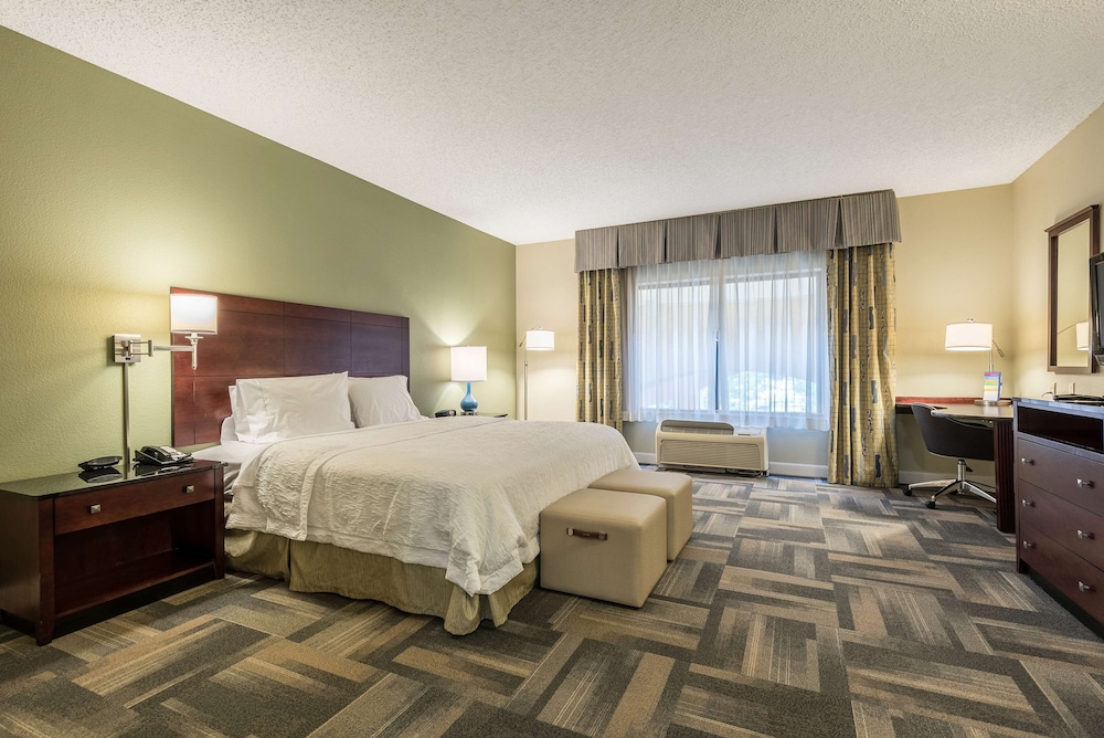 Hampton Inn & Suites Orlando South Lake Buena Vista - photo 8