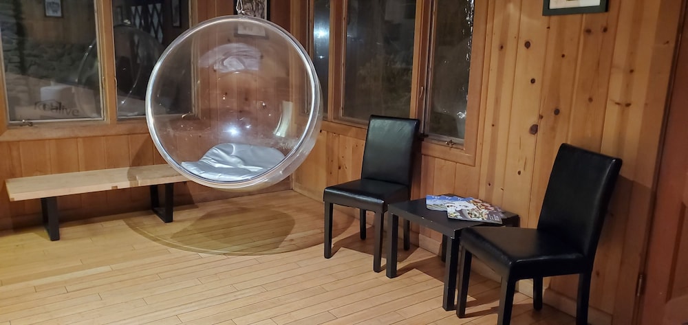 The Mammoth Inn - photo 5