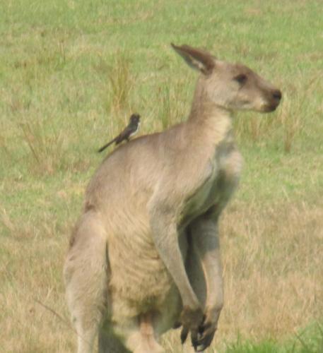 Bournda Retreat — Merimbula — photo 2