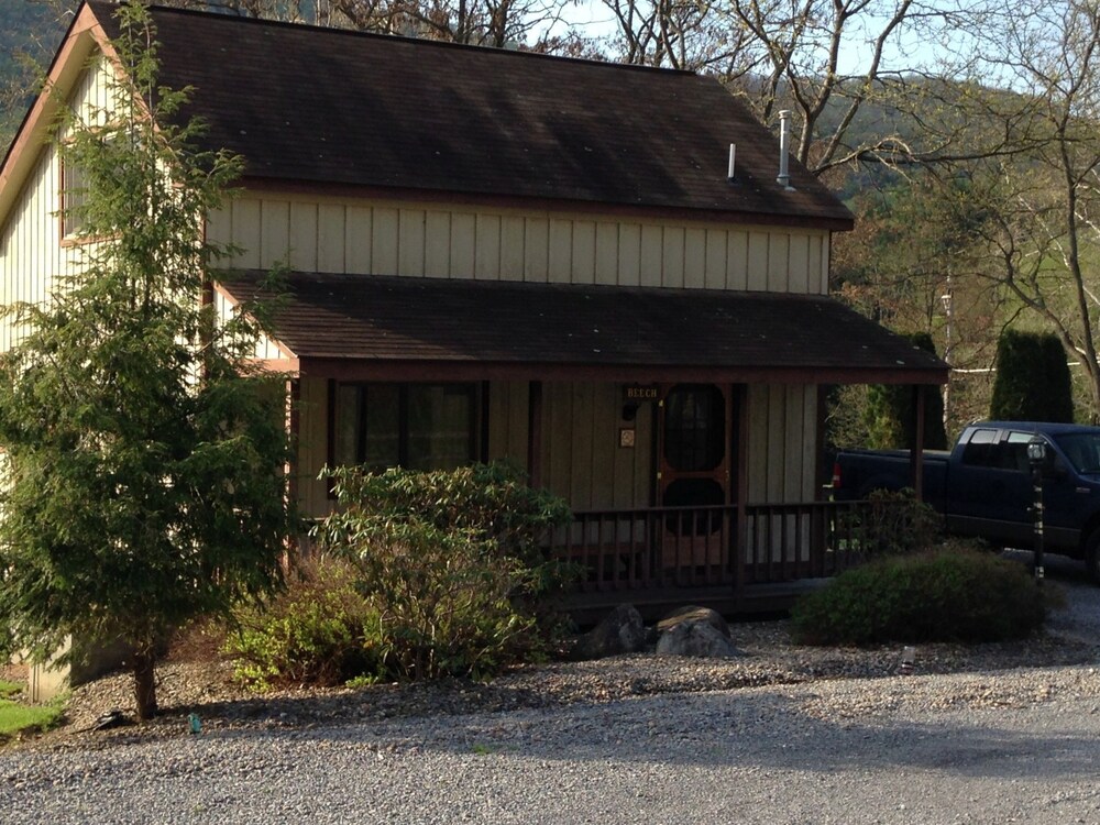 Rough Cut Lodge - photo 61