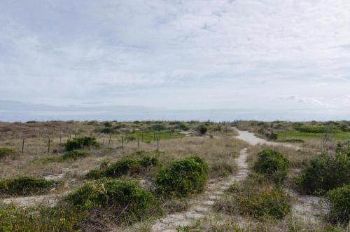 Spalt by Bryant Real Estate in Wrightsville Beach, United States