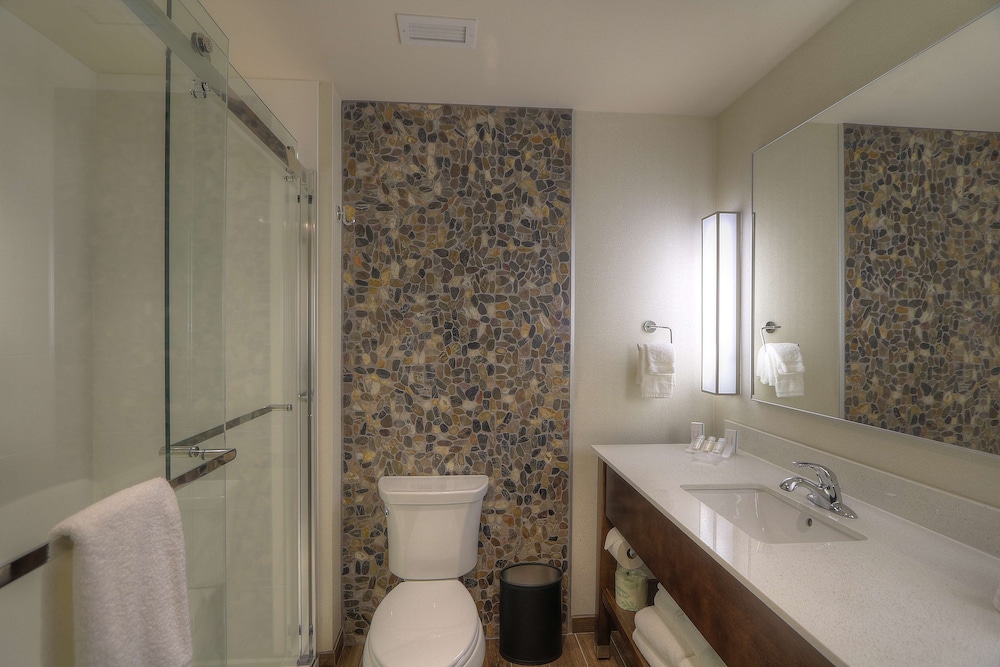 Hilton Garden Inn Pigeon Forge - photo 39