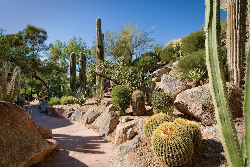 The Canyon Suites at The Phoenician Luxury Collection - photo 145