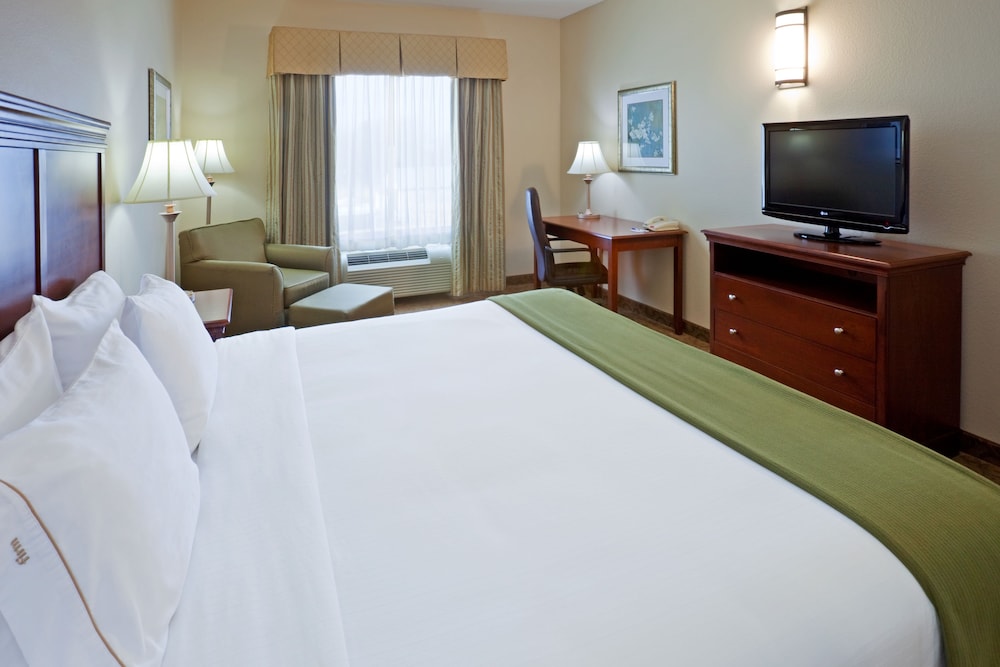 Holiday Inn Express & Suites Dallas Southwest Cedar Hill by IHG - photo 7