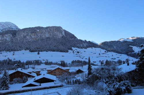 Rosat 22 — Chateau-D'oex — photo 3