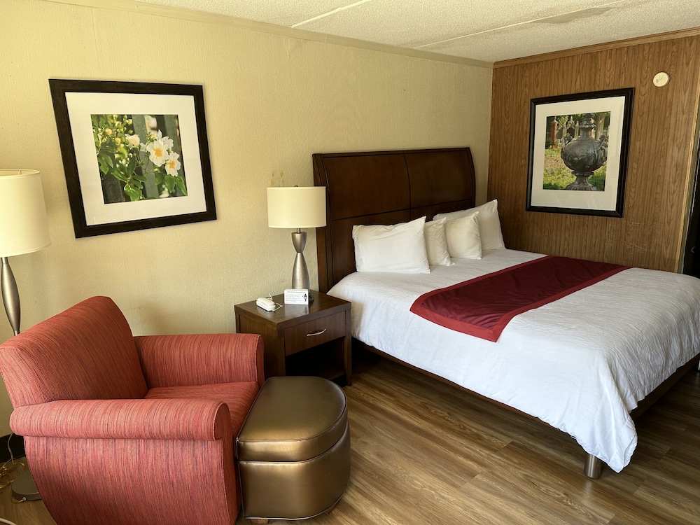 Daniel Boone Motor Inn - photo 7