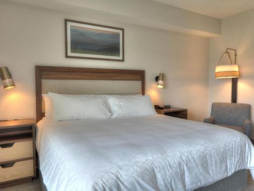 Holiday Inn & Suites Pigeon Forge Convention Center an IHG Hotel - photo 47