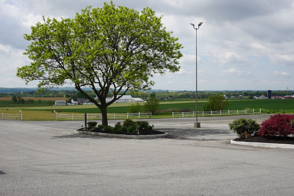 Harvest Drive Family Inn - photo 48