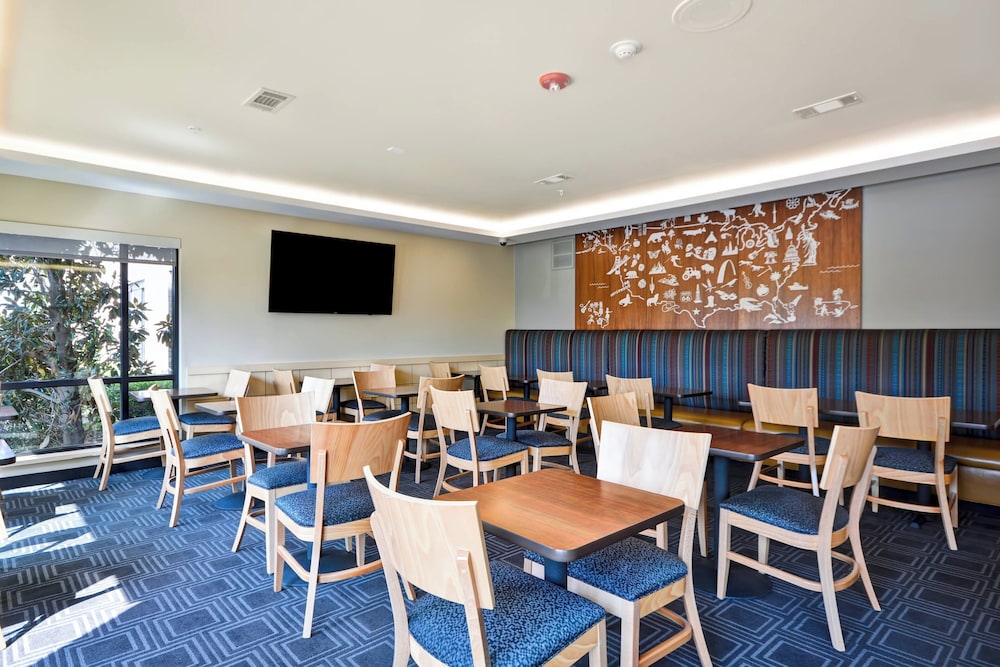 TownePlace Suites by Marriott Dallas Lewisville - photo 27