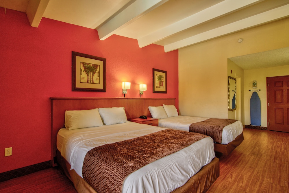 Clearwater Hotel - photo 8