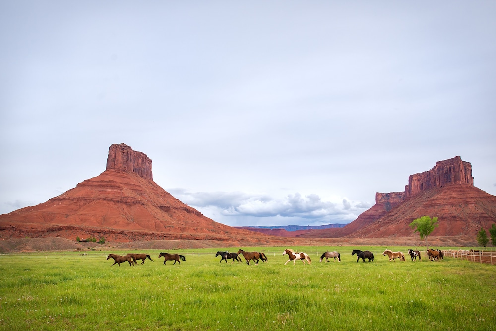 Sorrel River Ranch Resort & Spa - photo 95