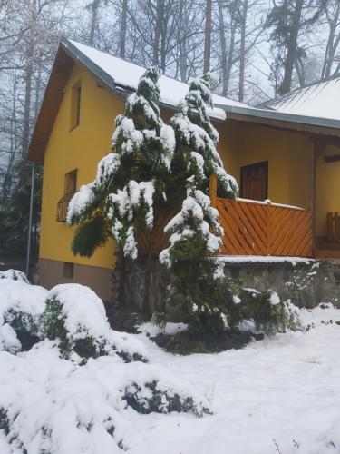 Chata Nad Kupaliskom in Kovacova, Slovakia