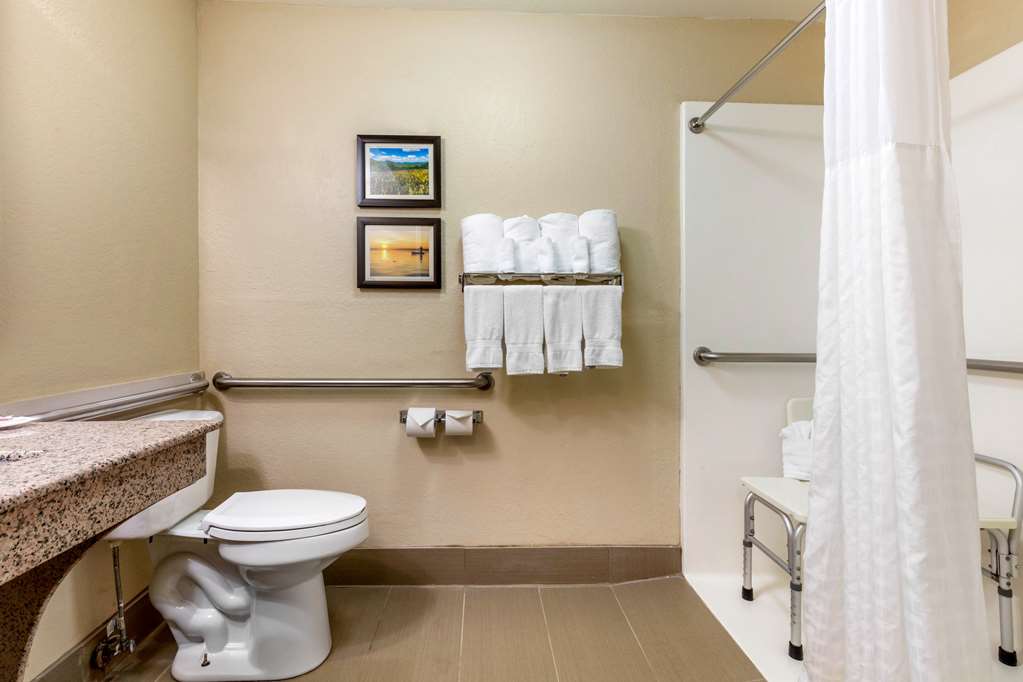 Comfort Inn Lenoir City Knoxville - photo 35