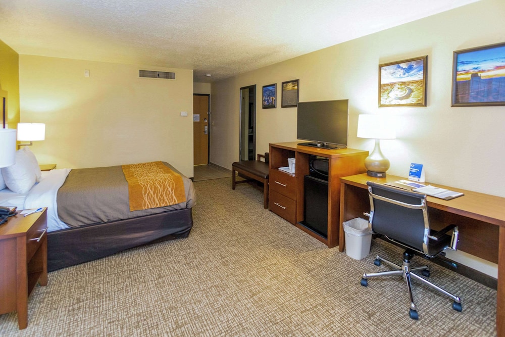 Comfort Inn Salt Lake City Downtown - photo 37
