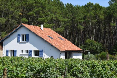 Evasion Cotiere Tranquillite Entre Foret Et Ocean — hotel in Vielle-Saint-Girons