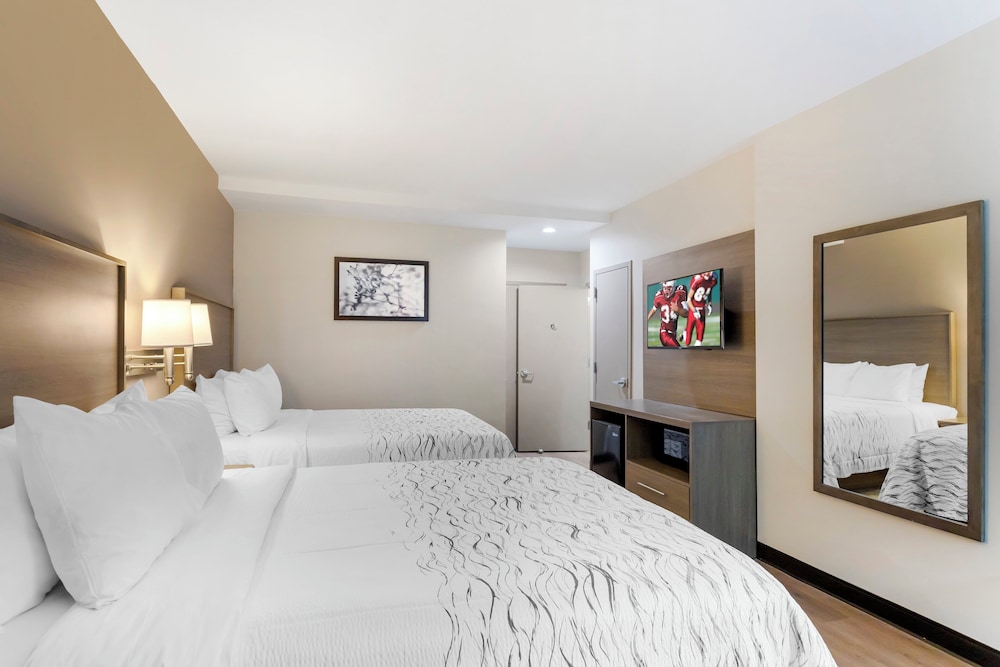 Red Roof Inn Plus Jamaica Ny Jfk Airport - photo 18