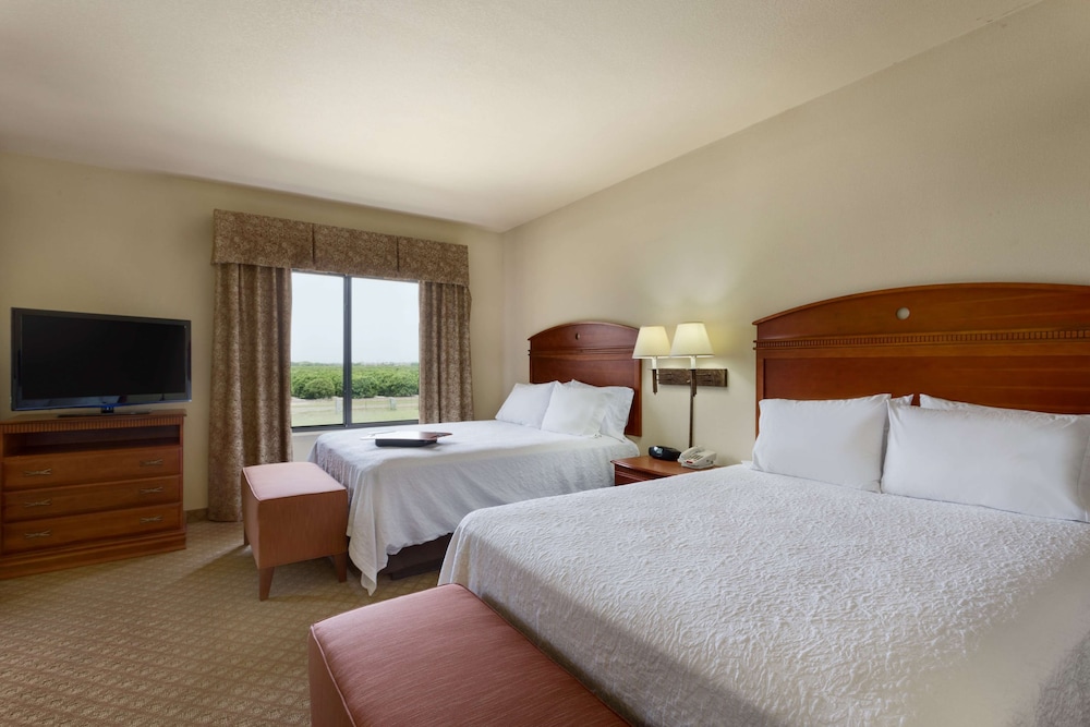 Hampton Inn & Suites Pharr - photo 8