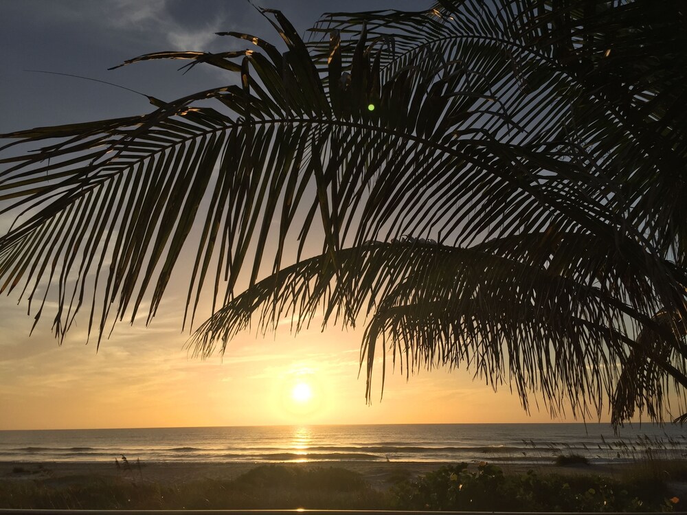 Surf Studio Beach Resort - photo 43
