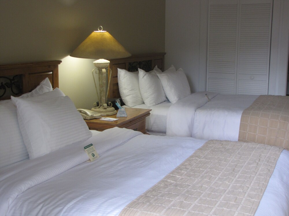 Paradise Inn Key West Adults Only - photo 4