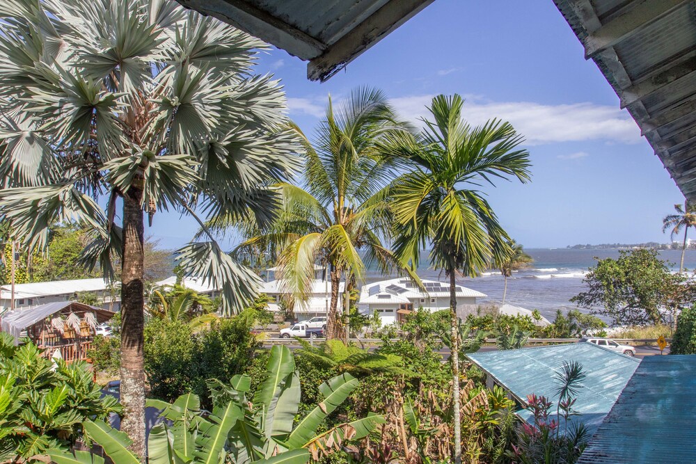 Wild Ginger Inn Hotel - photo 45