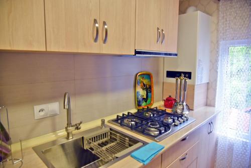 Robo Apartment
