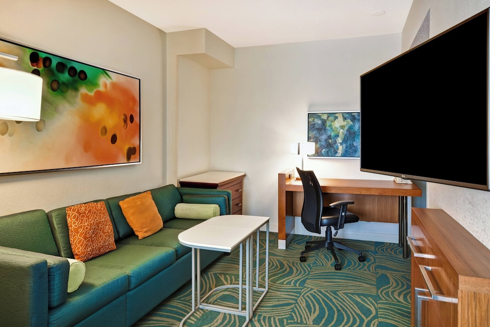 SpringHill Suites by Marriott Baltimore BWI Airport - photo 18