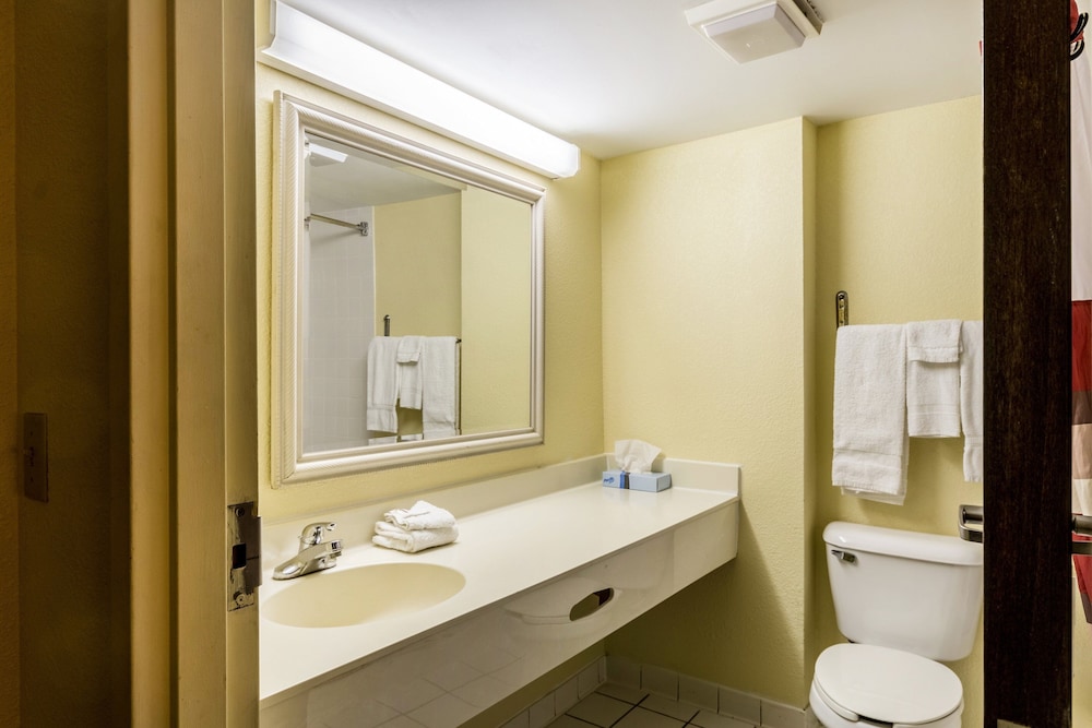 Red Roof Inn Morehead - photo 19