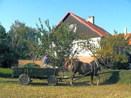 Platanus Beckov Apartmans in Stara Tura, Slovakia