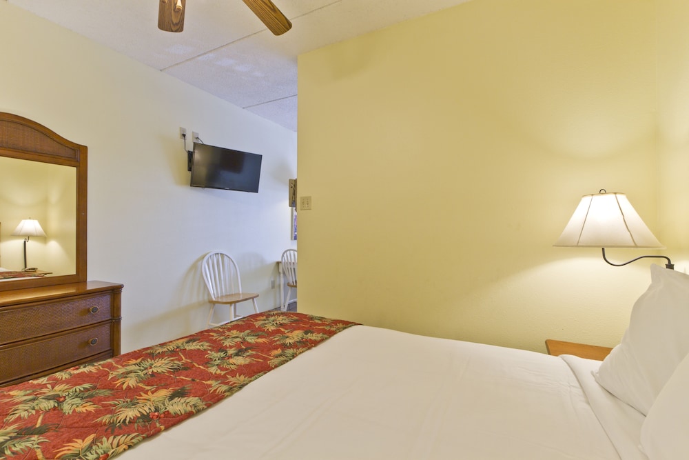 The Palms Resort - photo 7