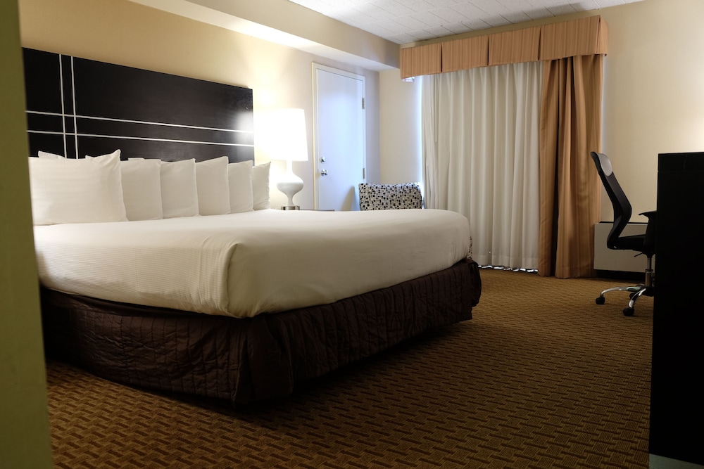 Chateau Resort & Conference Center - photo 6