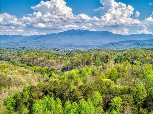 A Bliss Hot Tub Game Room WIFI Resort Pool FREE attraction tickets in Sevierville, United States