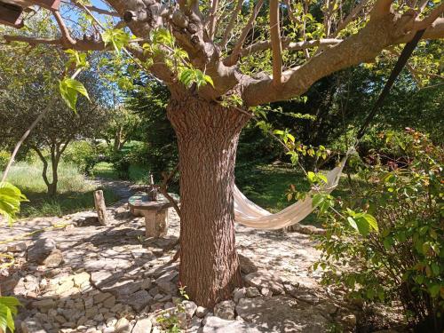 Lou Boulugi - last minute hotel in Aix-En-Provence