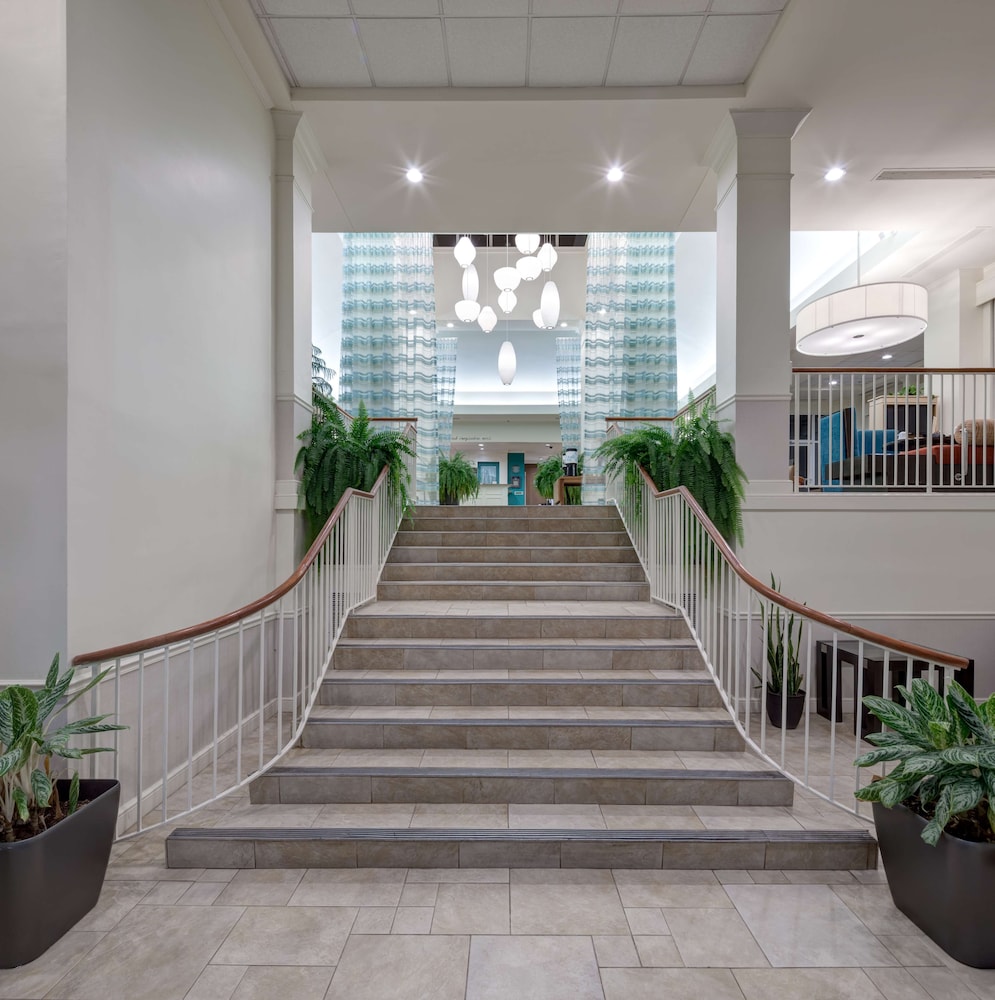 Hilton Garden Inn Hilton Head - photo 3