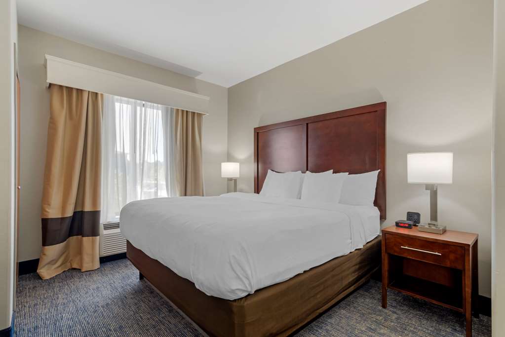 Comfort Suites Stockbridge Atlanta South - photo 28