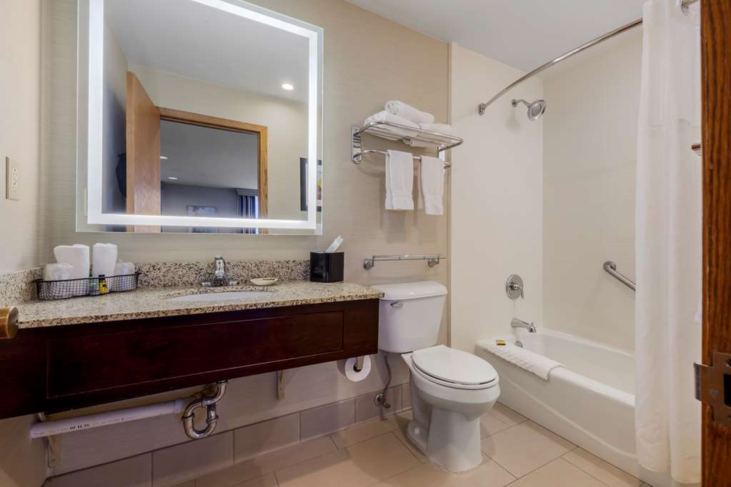 Best Western Plus Dubuque Hotel & Conference Center - photo 50