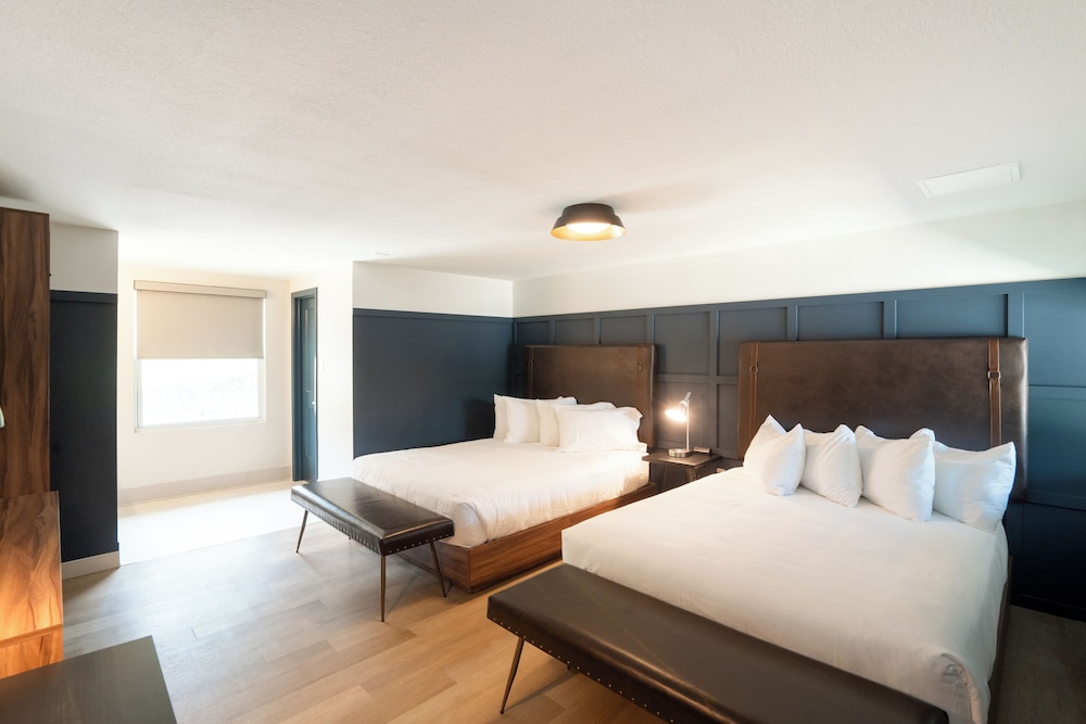 Hotel Sylva - photo 8