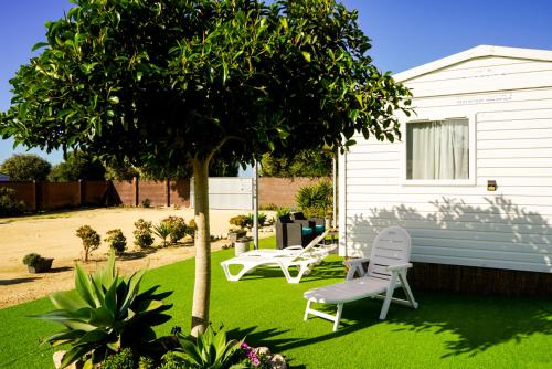 Palmaradise in Vejer De La Frontera, Spain