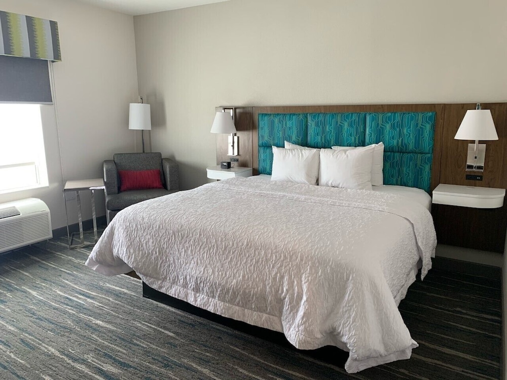 Hampton Inn Monahans - photo 11