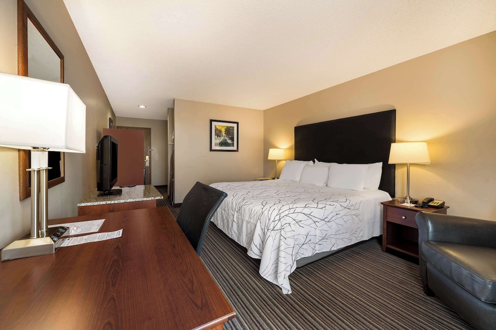 Best Western Park Oasis Inn - photo 21