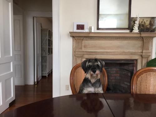 Hudson B&B - photo 2