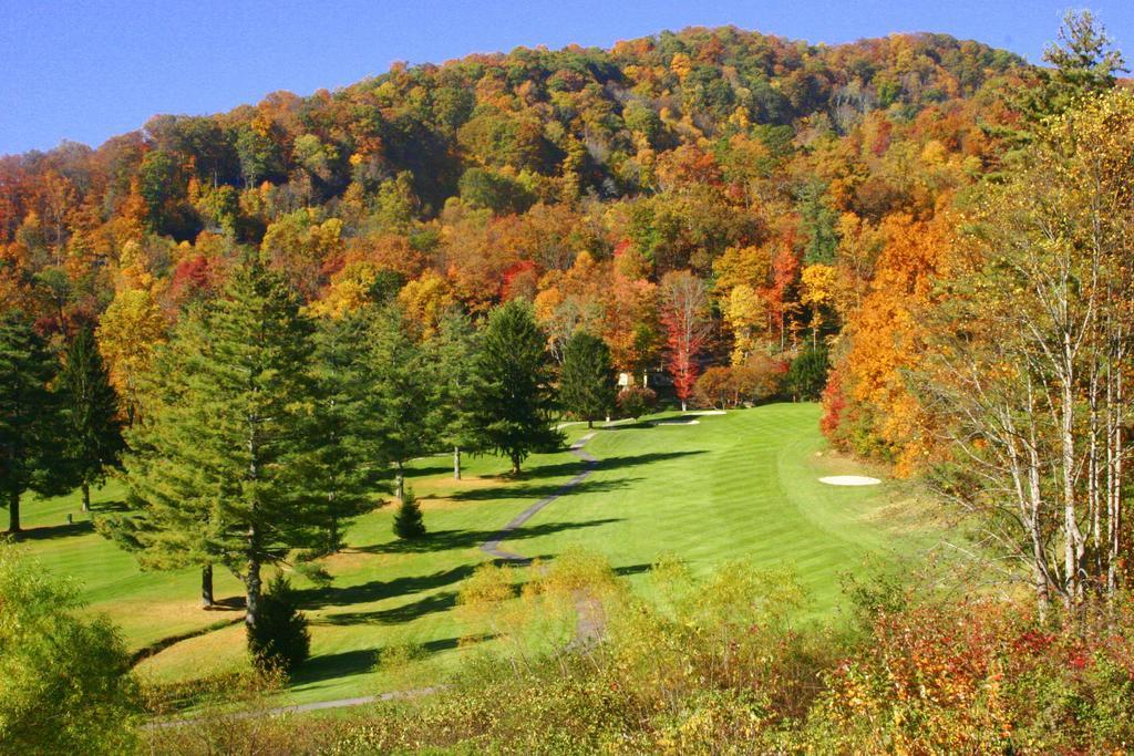 Peppertree Maggie Valley - photo 5