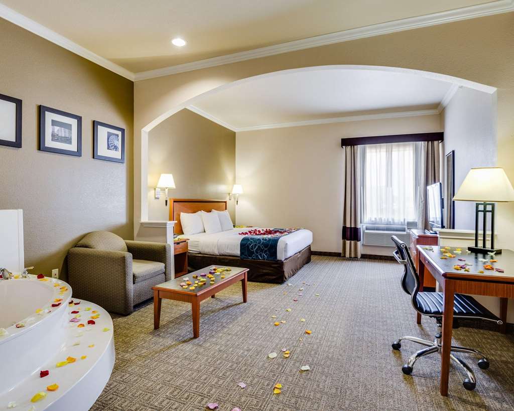 Comfort Suites Deer Park Pasadena - photo 32