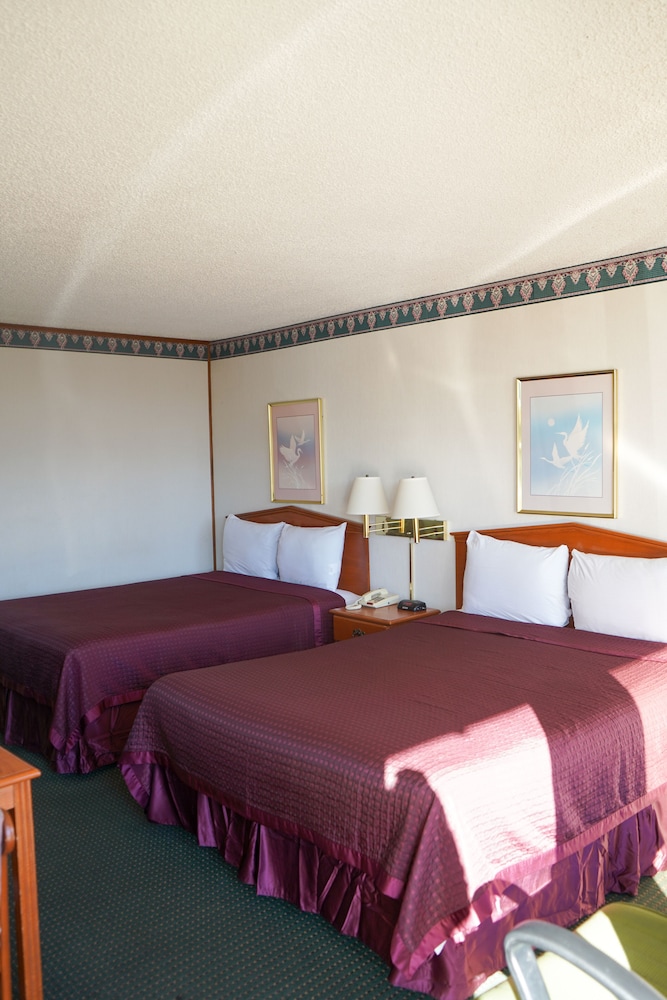 Sunset Inn Clarksville - photo 16